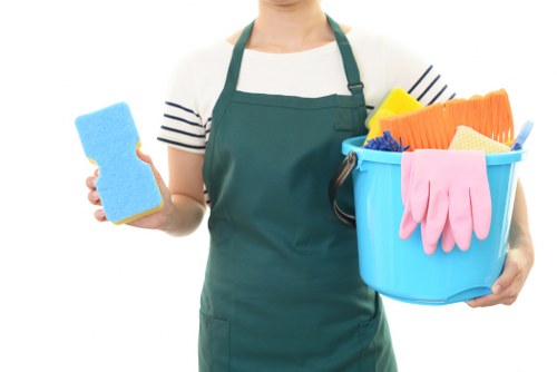 Upholstery cleaning for a sofa in a Soho flat