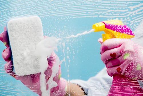 Cleaning a pet stain from upholstery in central London