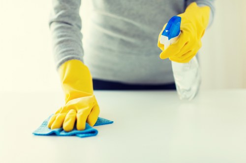 Regular cleaning service for a Soho apartment interior