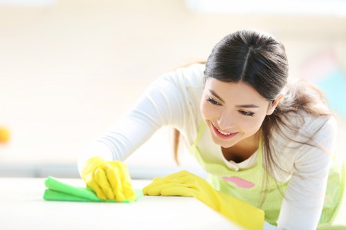 End of tenancy cleaning in a Soho apartment bathroom