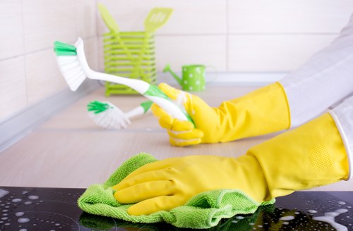 Detailed bathroom cleaning for a central London move-in service