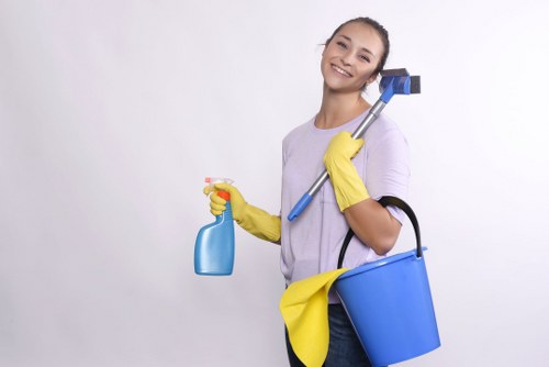 Upholstery cleaning treatment for a fabric sofa in Soho